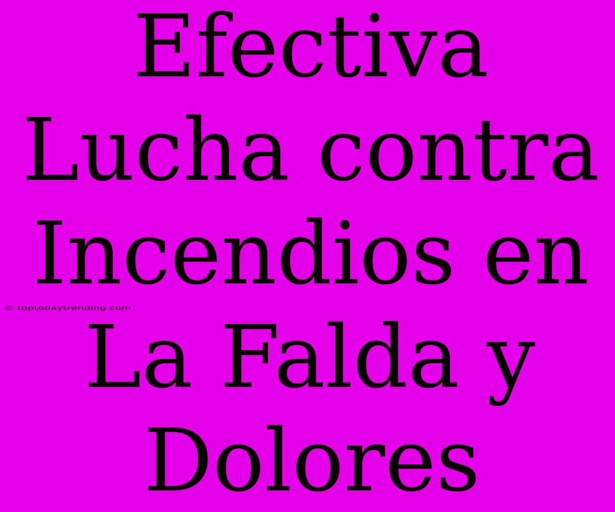 Efectiva Lucha Contra Incendios En La Falda Y Dolores