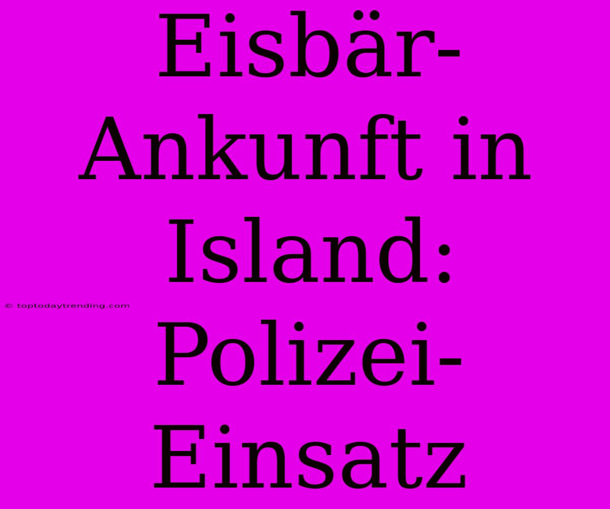 Eisbär-Ankunft In Island: Polizei-Einsatz