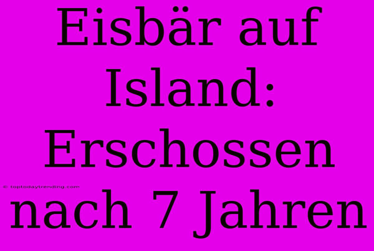 Eisbär Auf Island: Erschossen Nach 7 Jahren