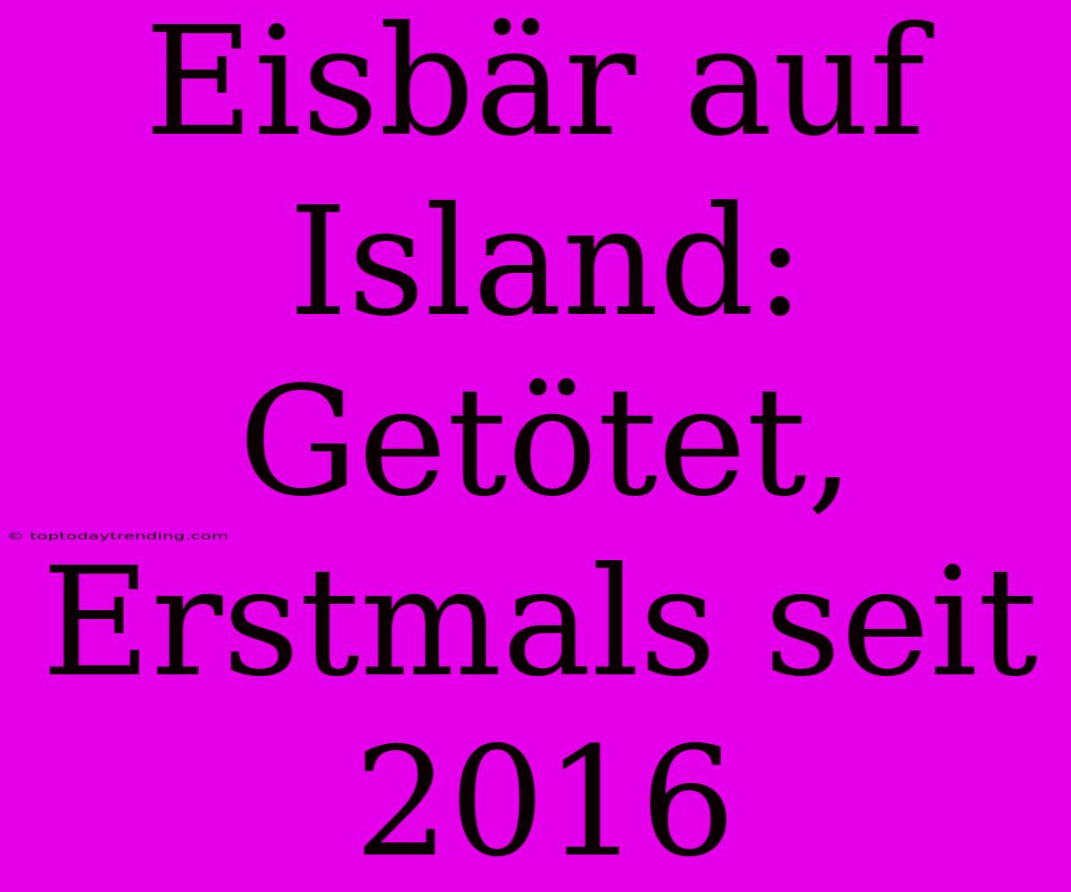 Eisbär Auf Island: Getötet, Erstmals Seit 2016