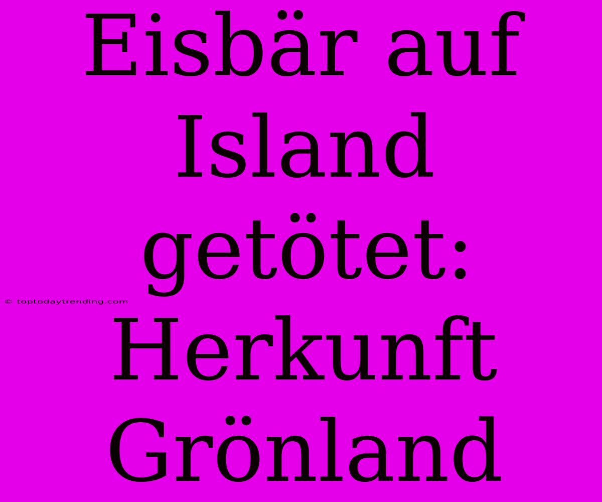 Eisbär Auf Island Getötet: Herkunft Grönland