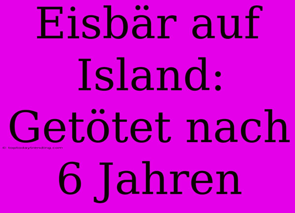 Eisbär Auf Island: Getötet Nach 6 Jahren