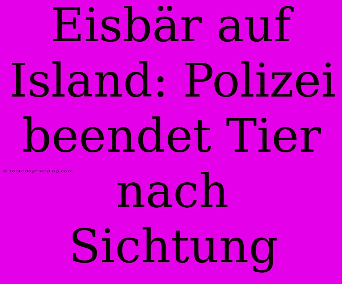 Eisbär Auf Island: Polizei Beendet Tier Nach Sichtung