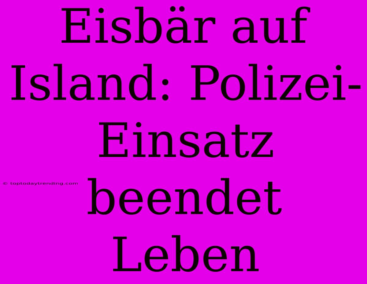 Eisbär Auf Island: Polizei-Einsatz Beendet Leben