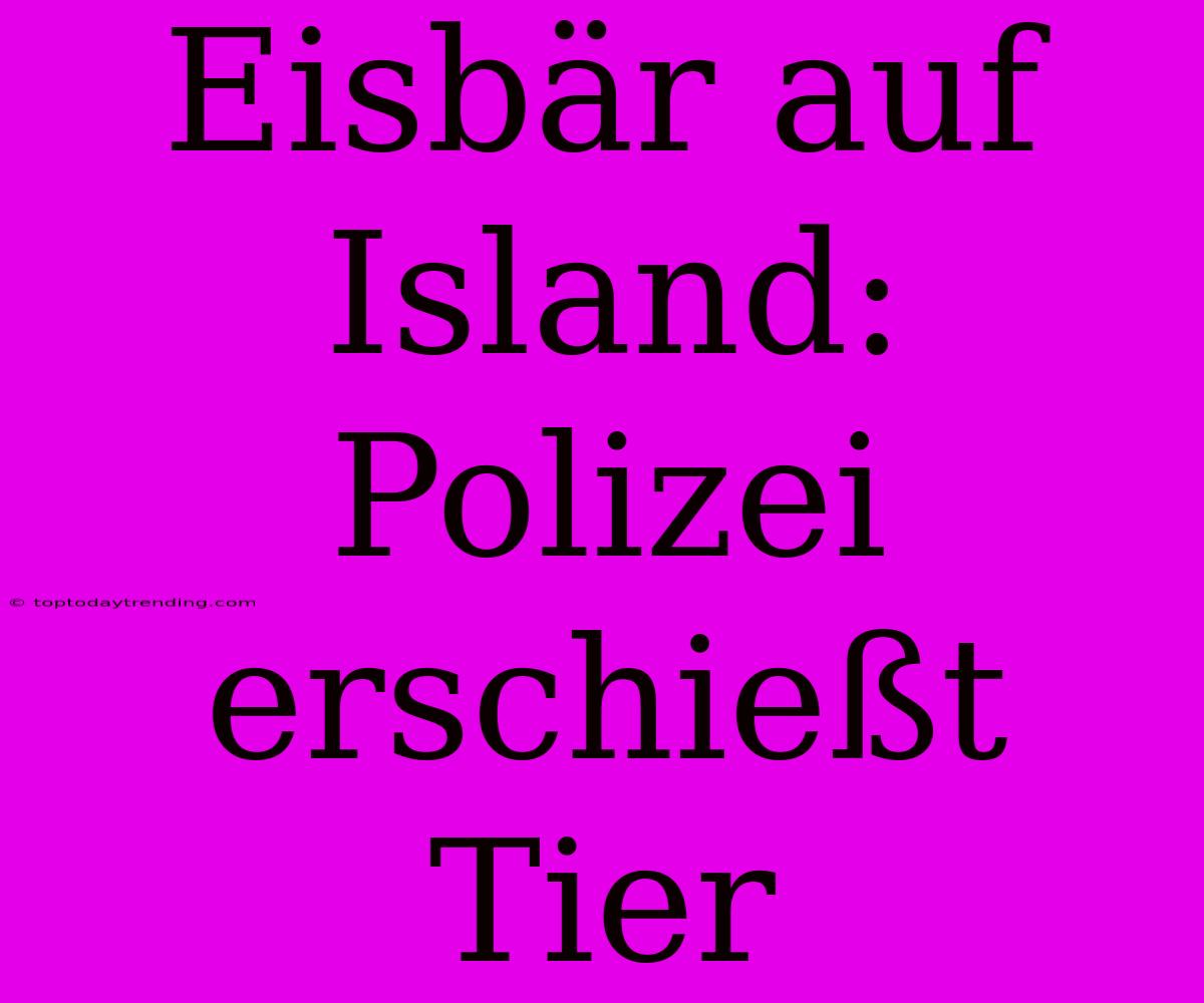 Eisbär Auf Island: Polizei Erschießt Tier