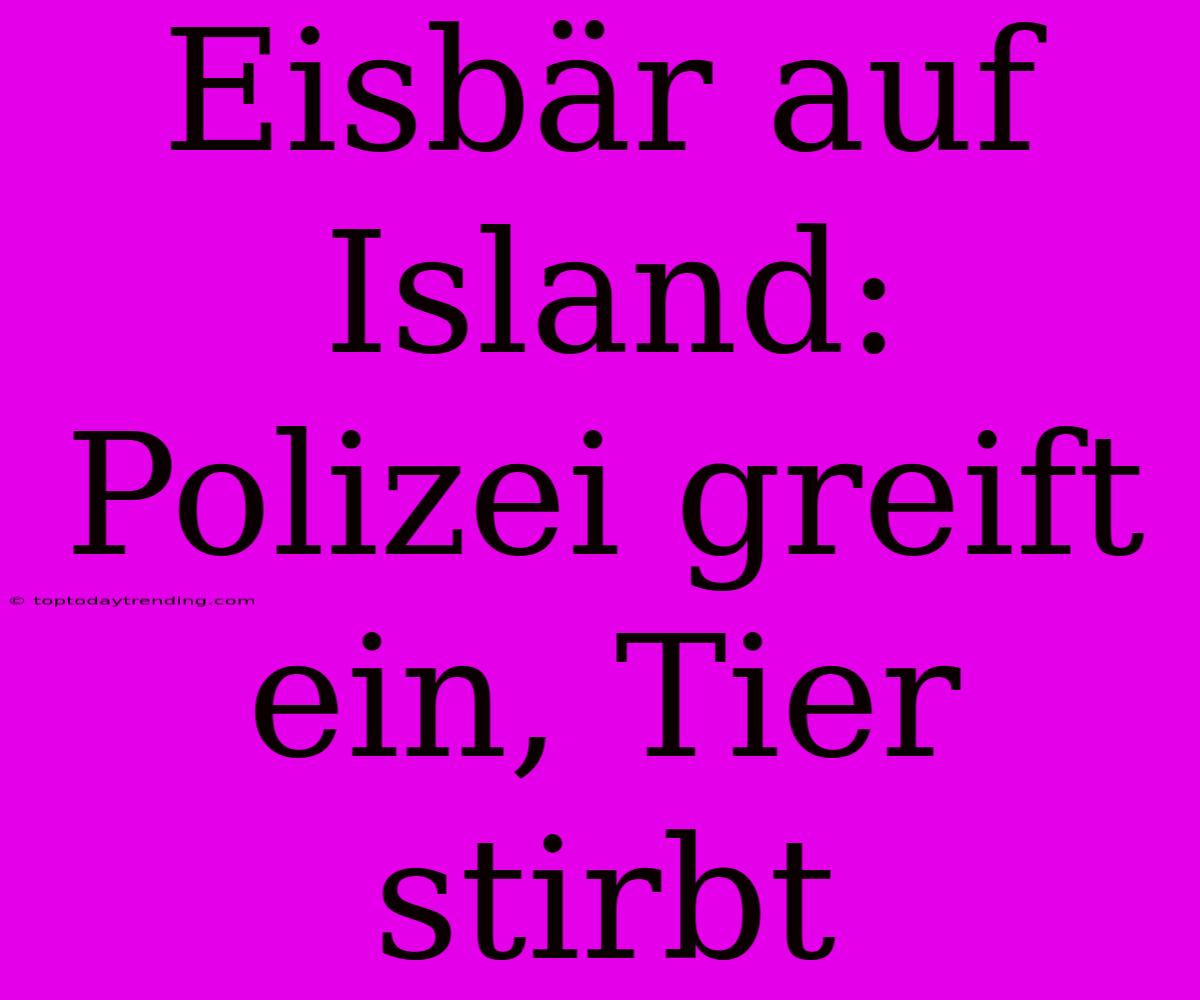 Eisbär Auf Island: Polizei Greift Ein, Tier Stirbt