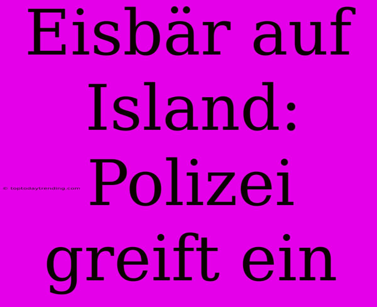 Eisbär Auf Island: Polizei Greift Ein