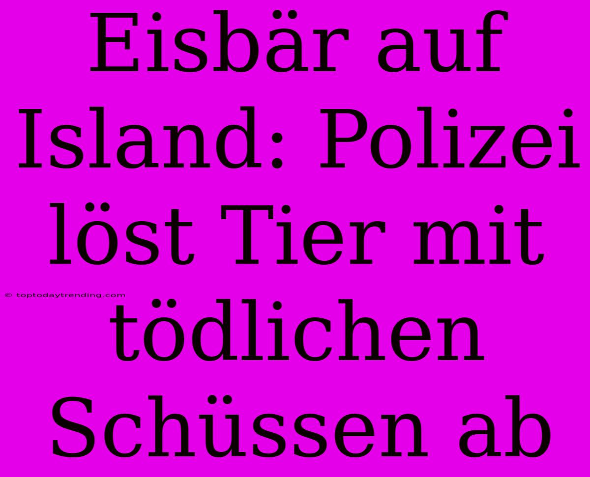 Eisbär Auf Island: Polizei Löst Tier Mit Tödlichen Schüssen Ab