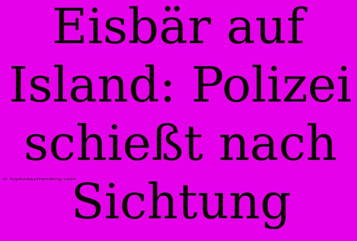 Eisbär Auf Island: Polizei Schießt Nach Sichtung