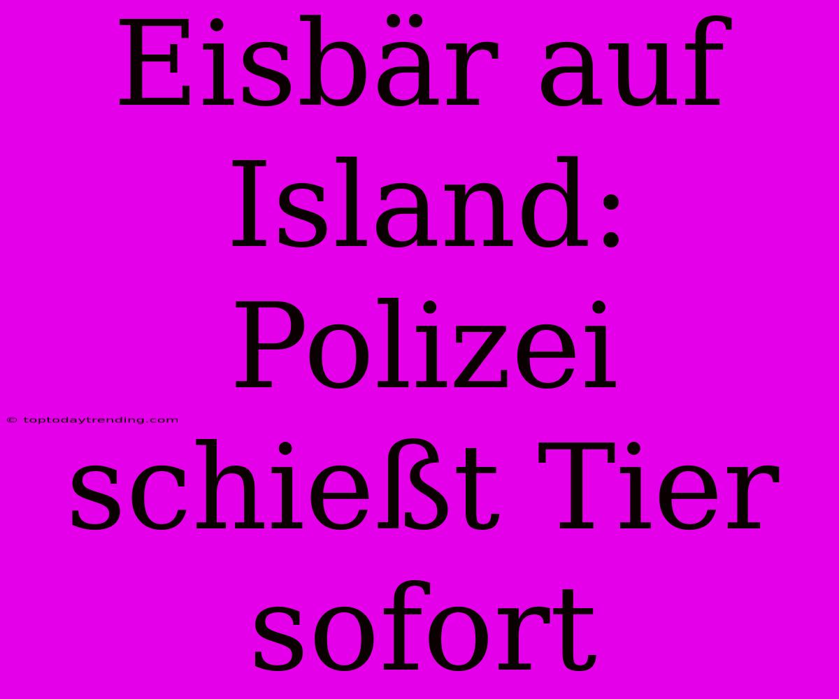 Eisbär Auf Island: Polizei Schießt Tier Sofort