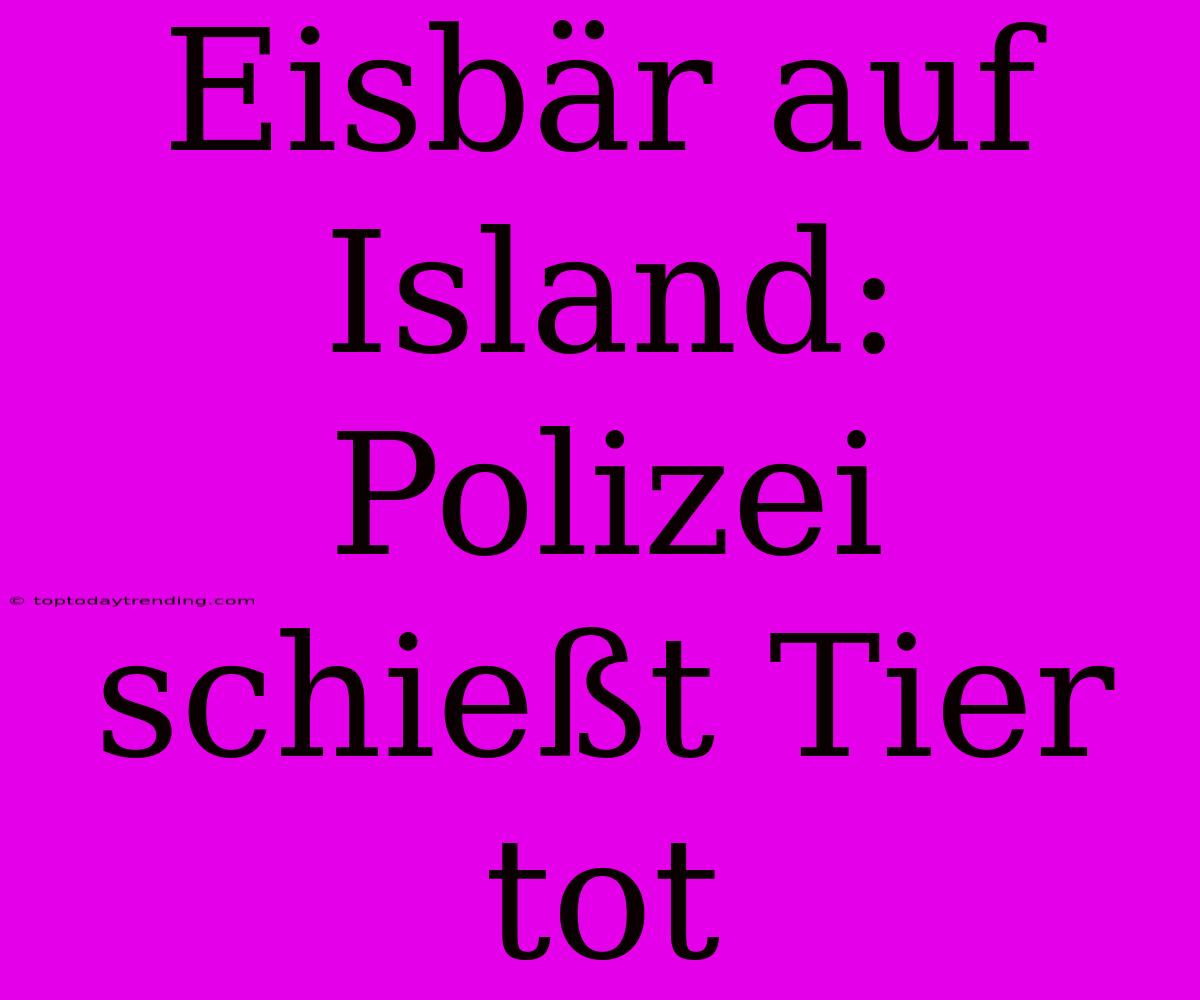 Eisbär Auf Island: Polizei Schießt Tier Tot