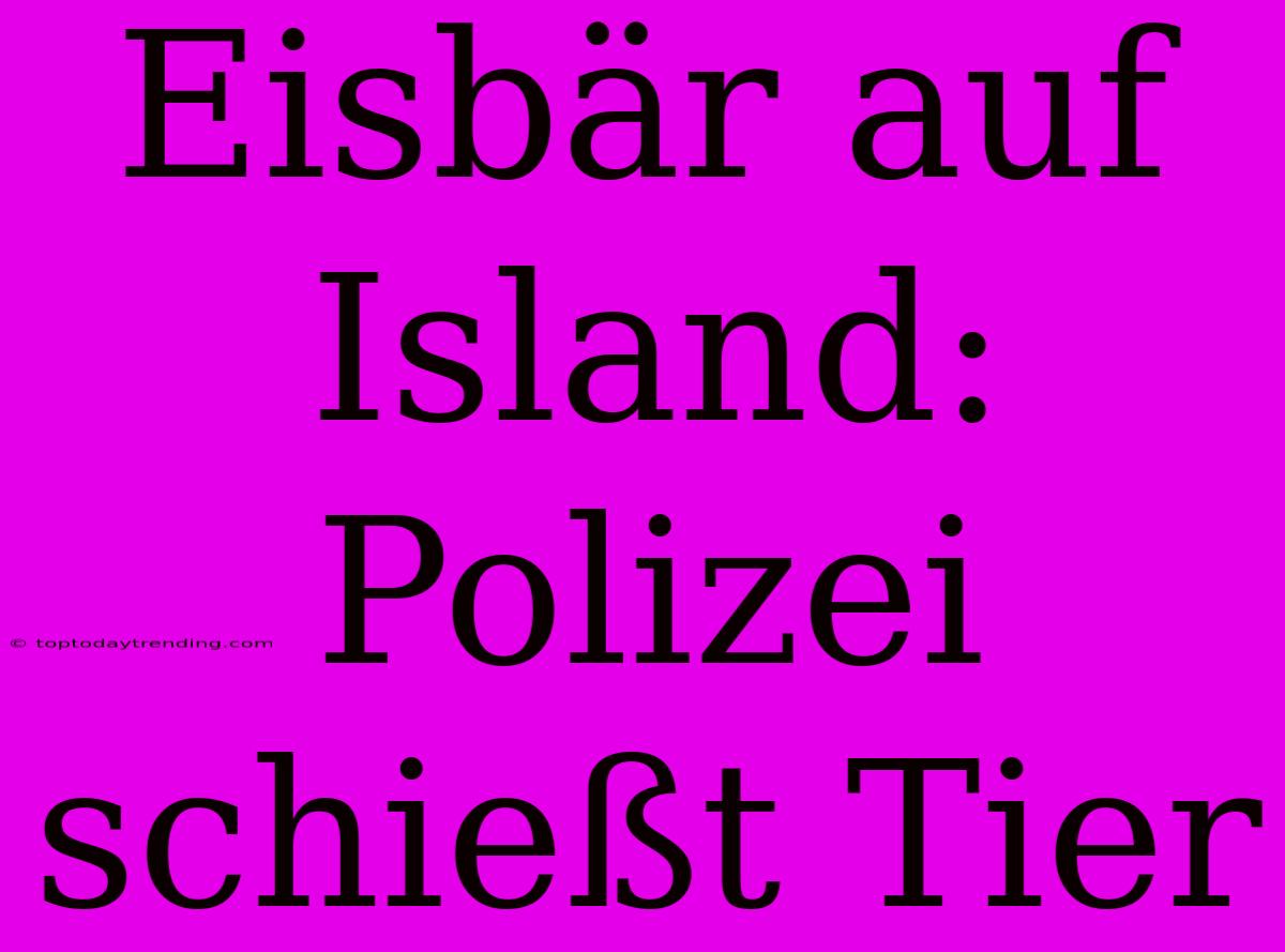 Eisbär Auf Island: Polizei Schießt Tier