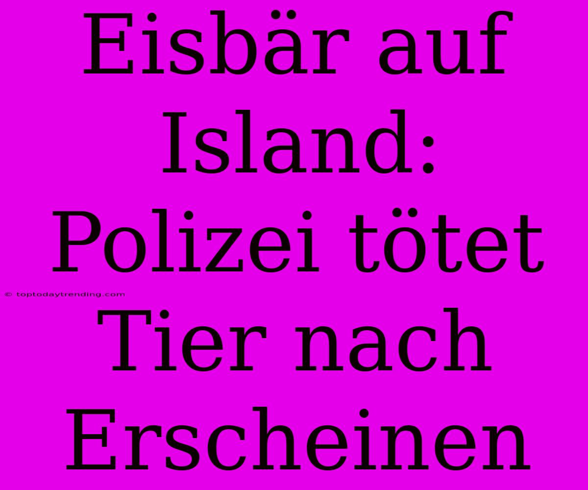 Eisbär Auf Island: Polizei Tötet Tier Nach Erscheinen