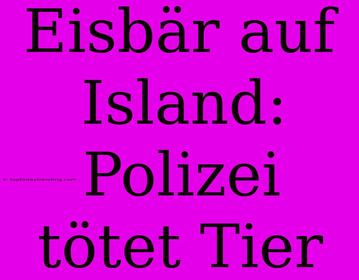 Eisbär Auf Island: Polizei Tötet Tier