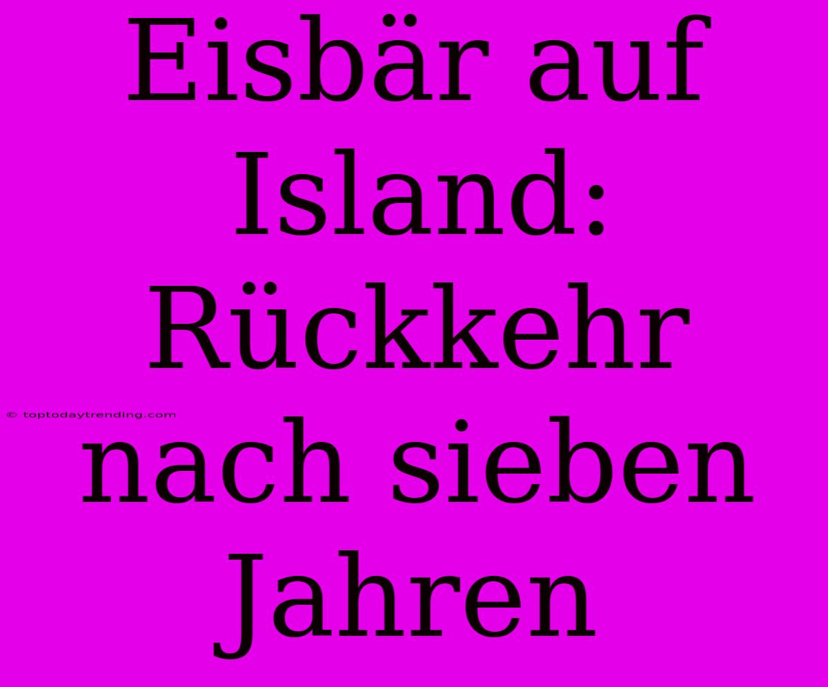 Eisbär Auf Island: Rückkehr Nach Sieben Jahren