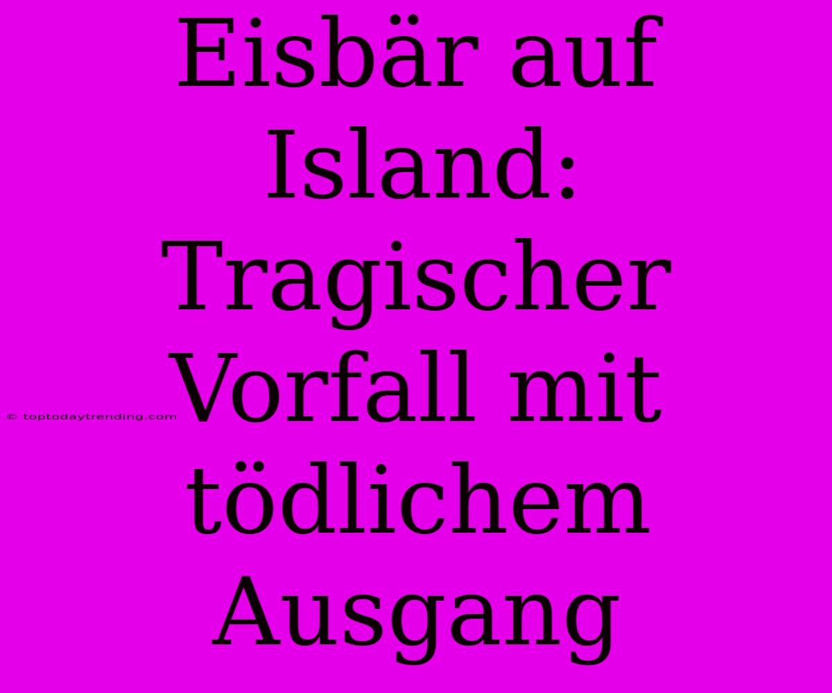 Eisbär Auf Island:  Tragischer Vorfall Mit Tödlichem Ausgang