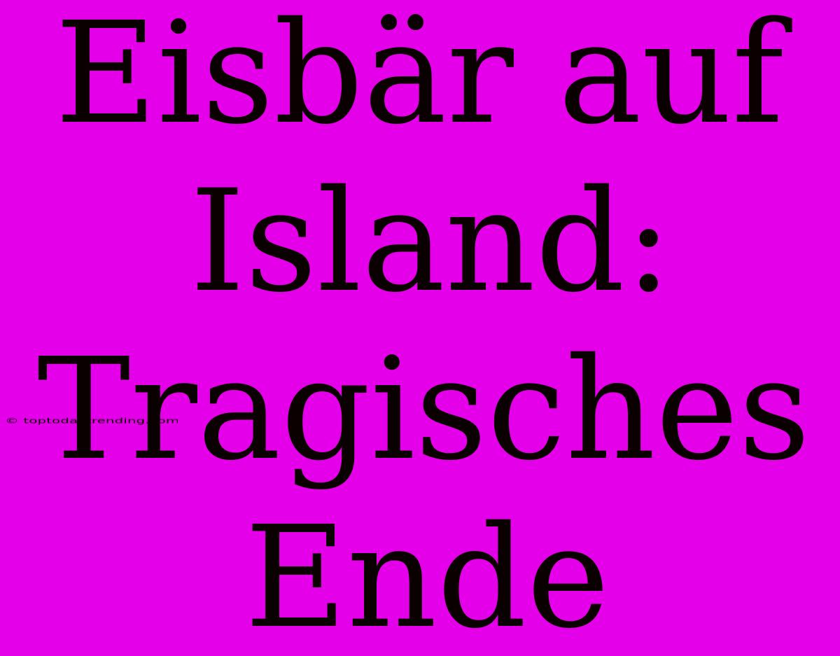 Eisbär Auf Island: Tragisches Ende