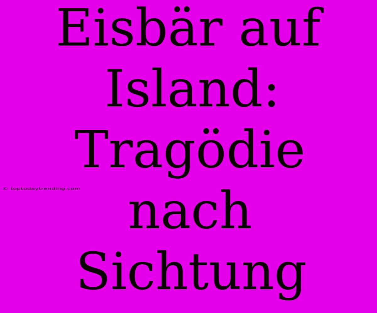 Eisbär Auf Island: Tragödie Nach Sichtung