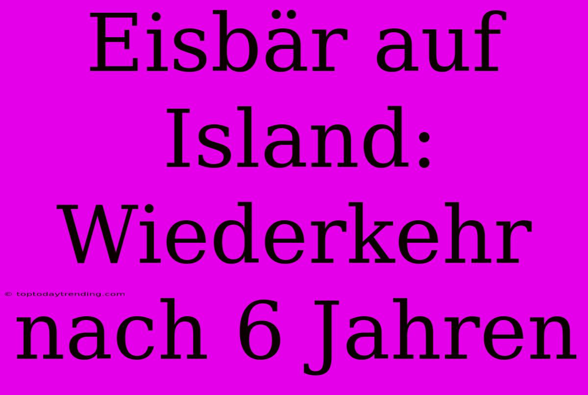 Eisbär Auf Island: Wiederkehr Nach 6 Jahren