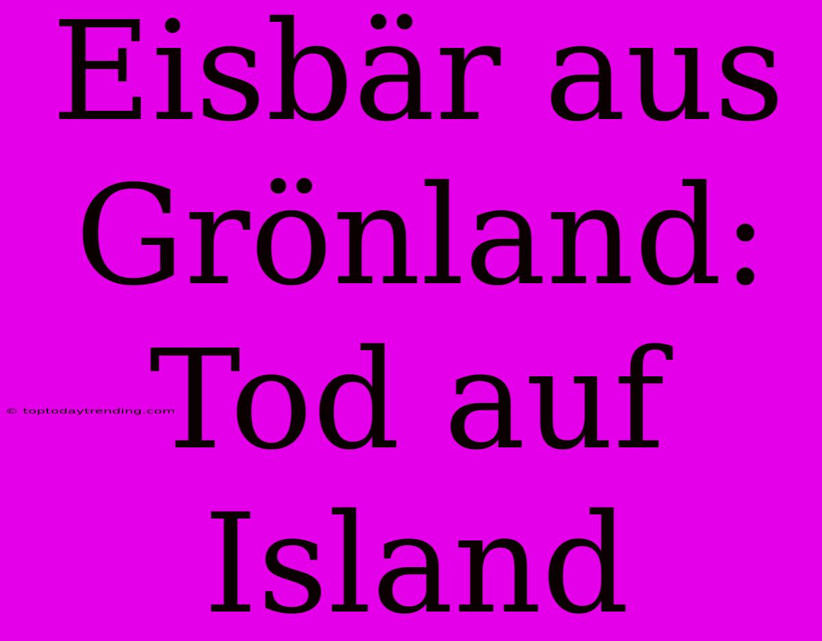 Eisbär Aus Grönland: Tod Auf Island