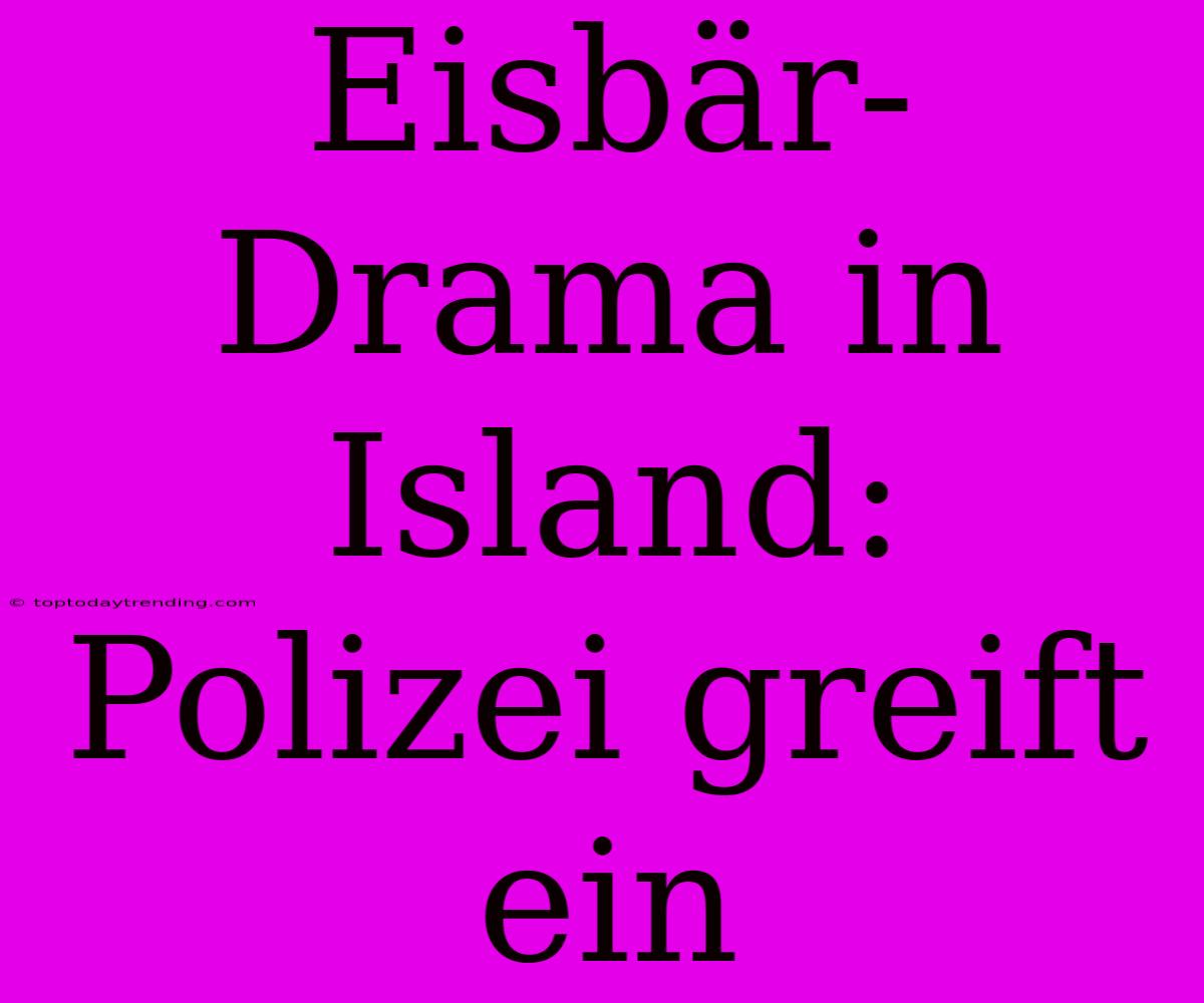 Eisbär-Drama In Island: Polizei Greift Ein