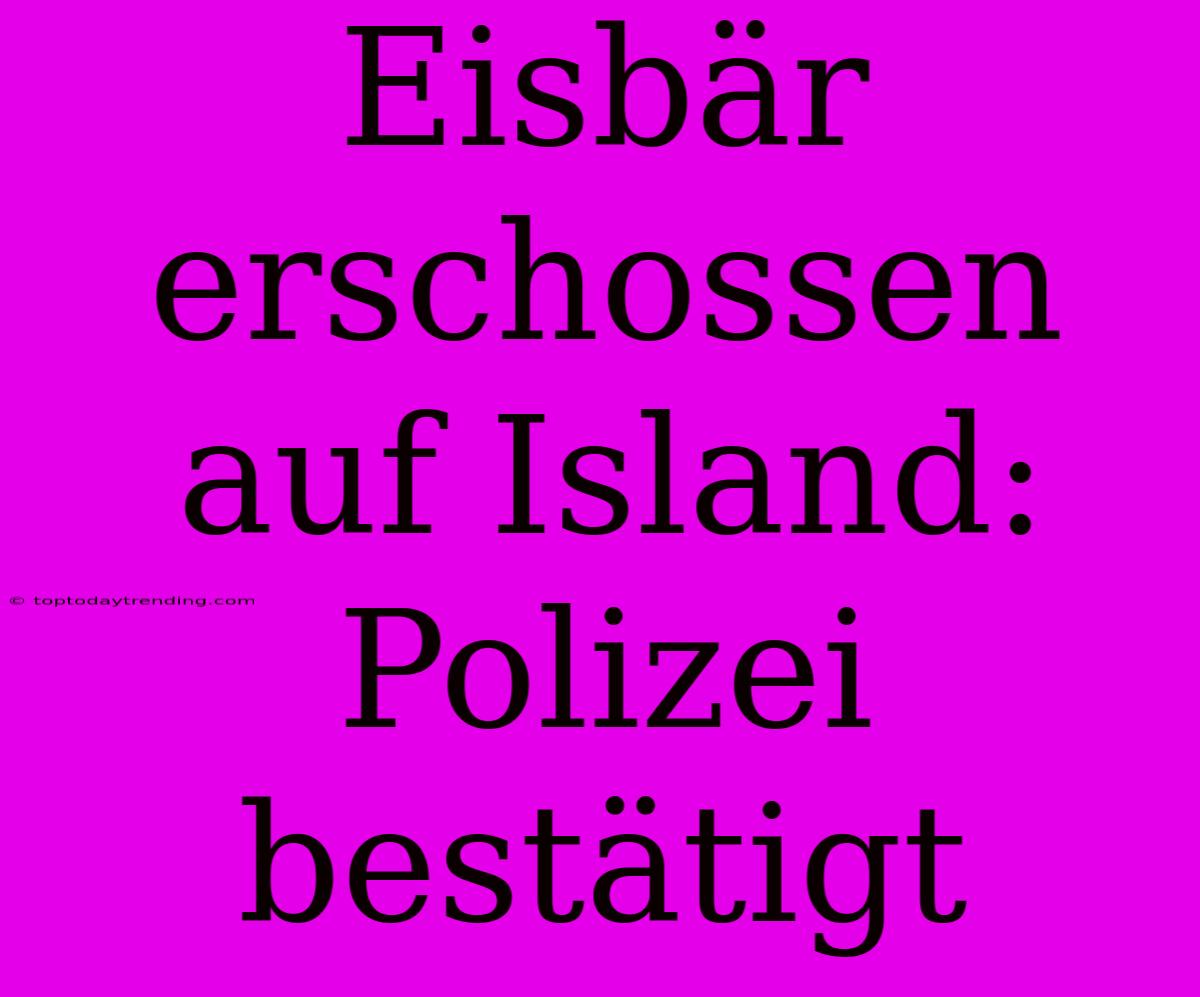 Eisbär Erschossen Auf Island: Polizei Bestätigt