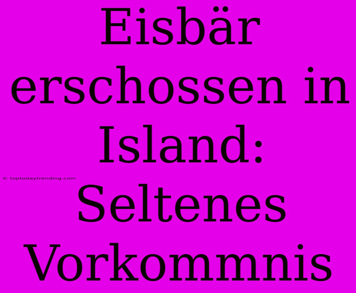 Eisbär Erschossen In Island: Seltenes Vorkommnis