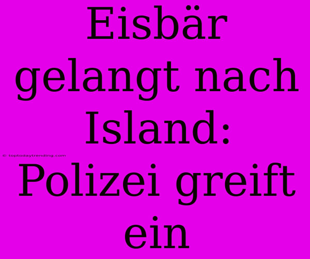 Eisbär Gelangt Nach Island: Polizei Greift Ein