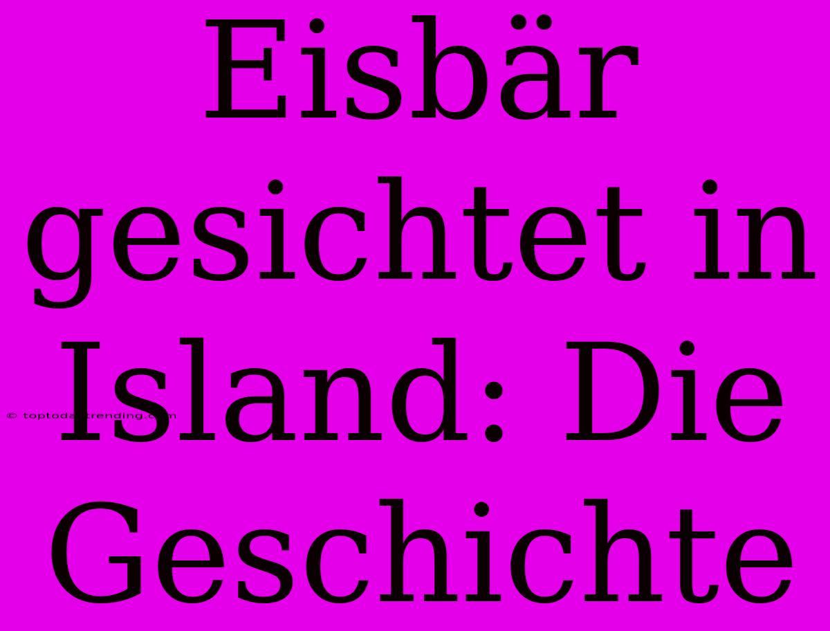 Eisbär Gesichtet In Island: Die Geschichte