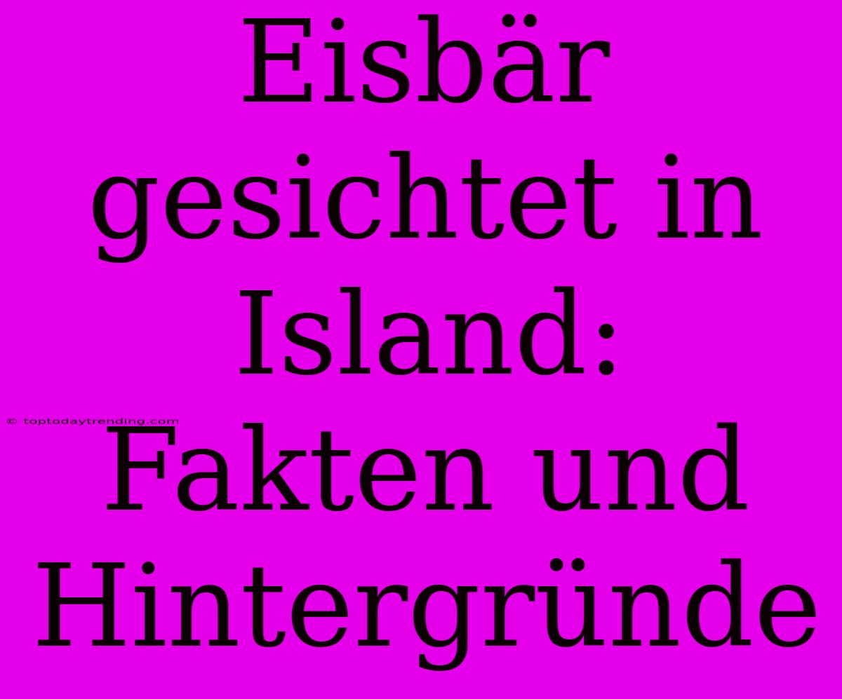 Eisbär Gesichtet In Island: Fakten Und Hintergründe