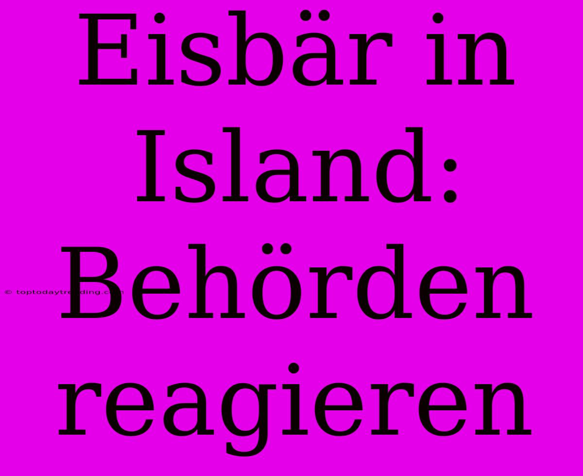 Eisbär In Island: Behörden Reagieren