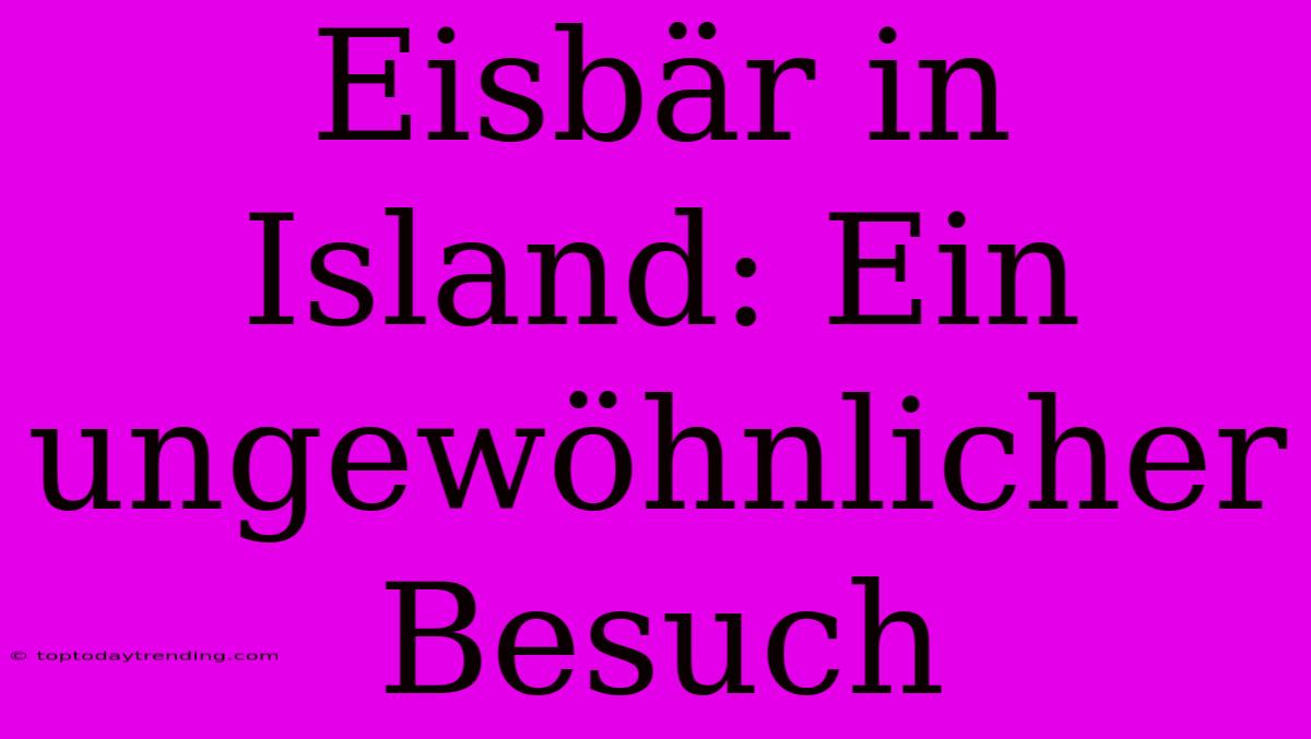 Eisbär In Island: Ein Ungewöhnlicher Besuch