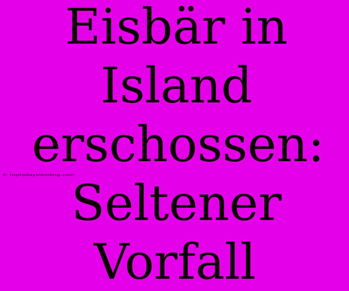 Eisbär In Island Erschossen: Seltener Vorfall