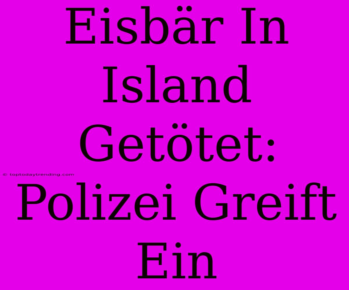 Eisbär In Island Getötet: Polizei Greift Ein