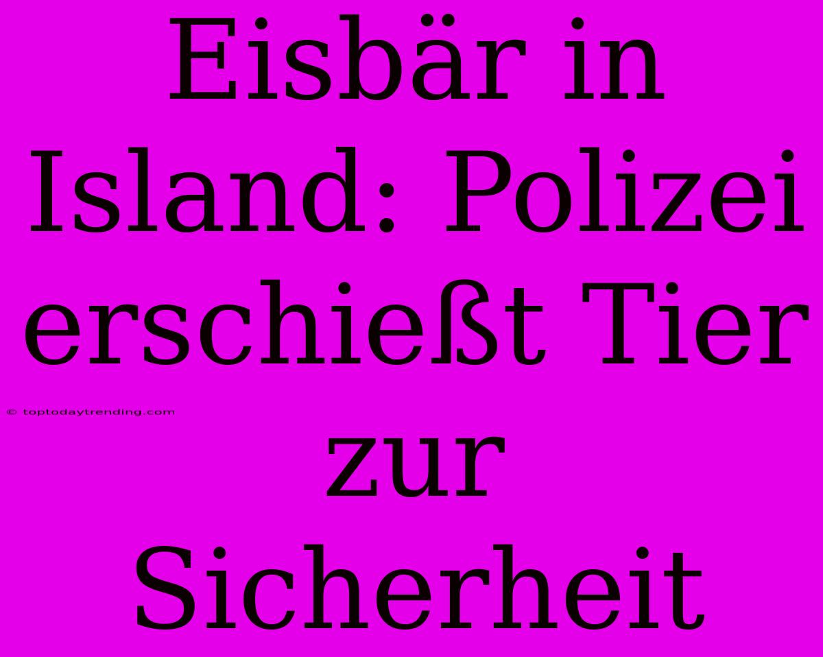 Eisbär In Island: Polizei Erschießt Tier Zur Sicherheit