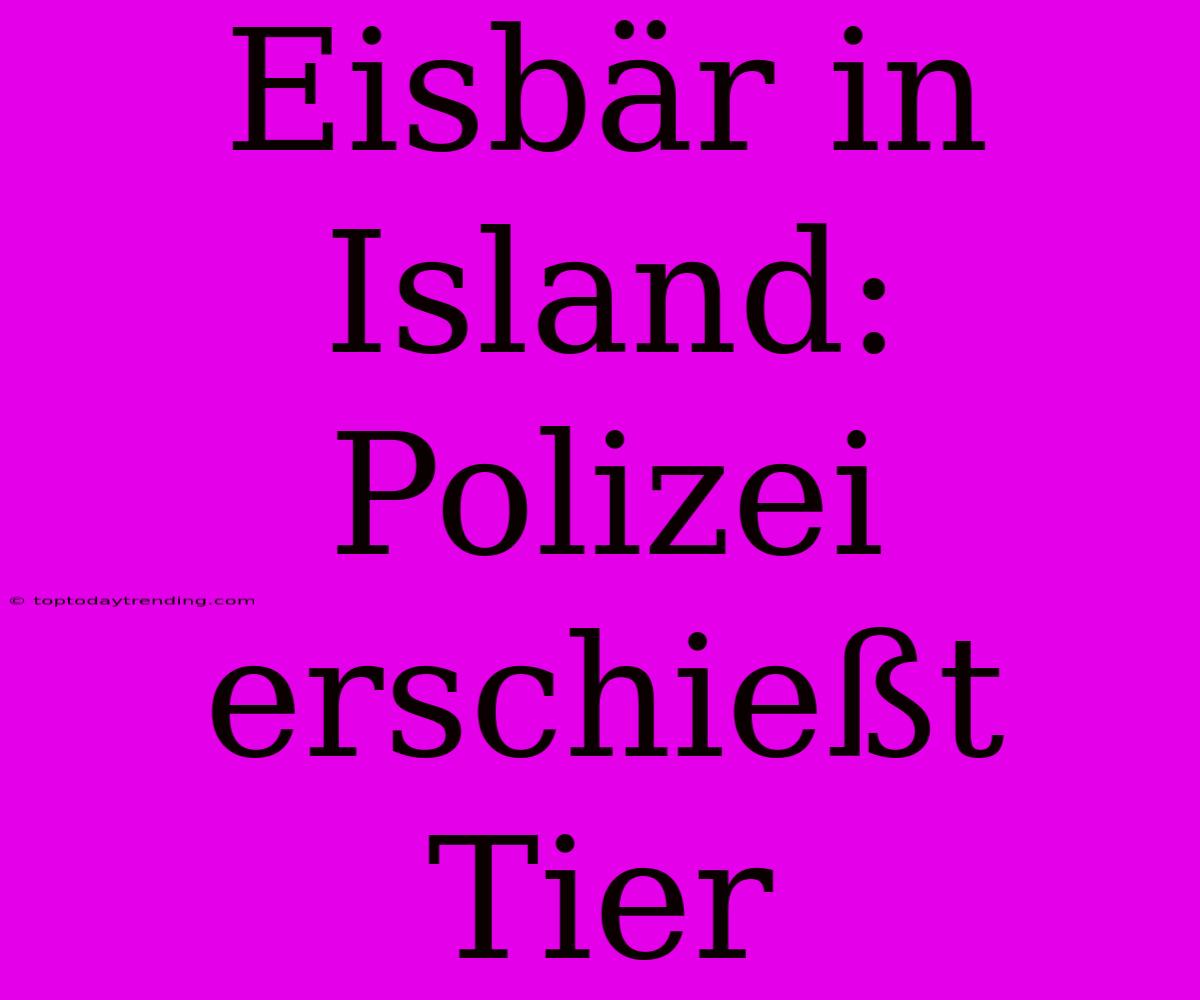 Eisbär In Island: Polizei Erschießt Tier