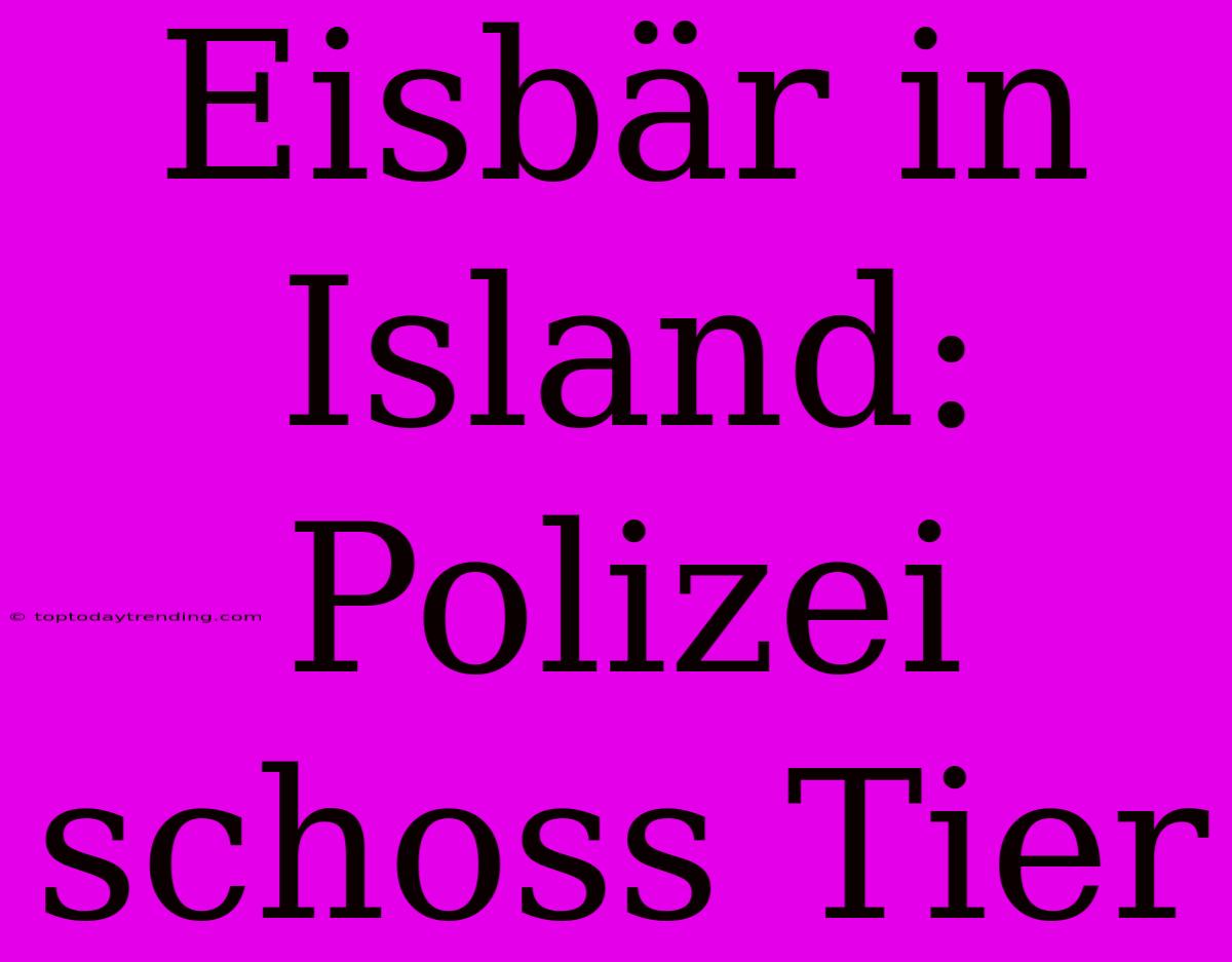 Eisbär In Island: Polizei Schoss Tier