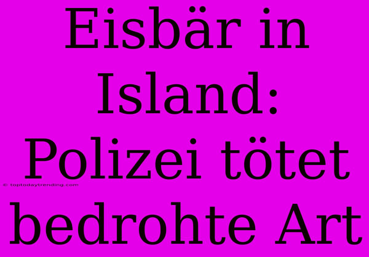 Eisbär In Island: Polizei Tötet Bedrohte Art