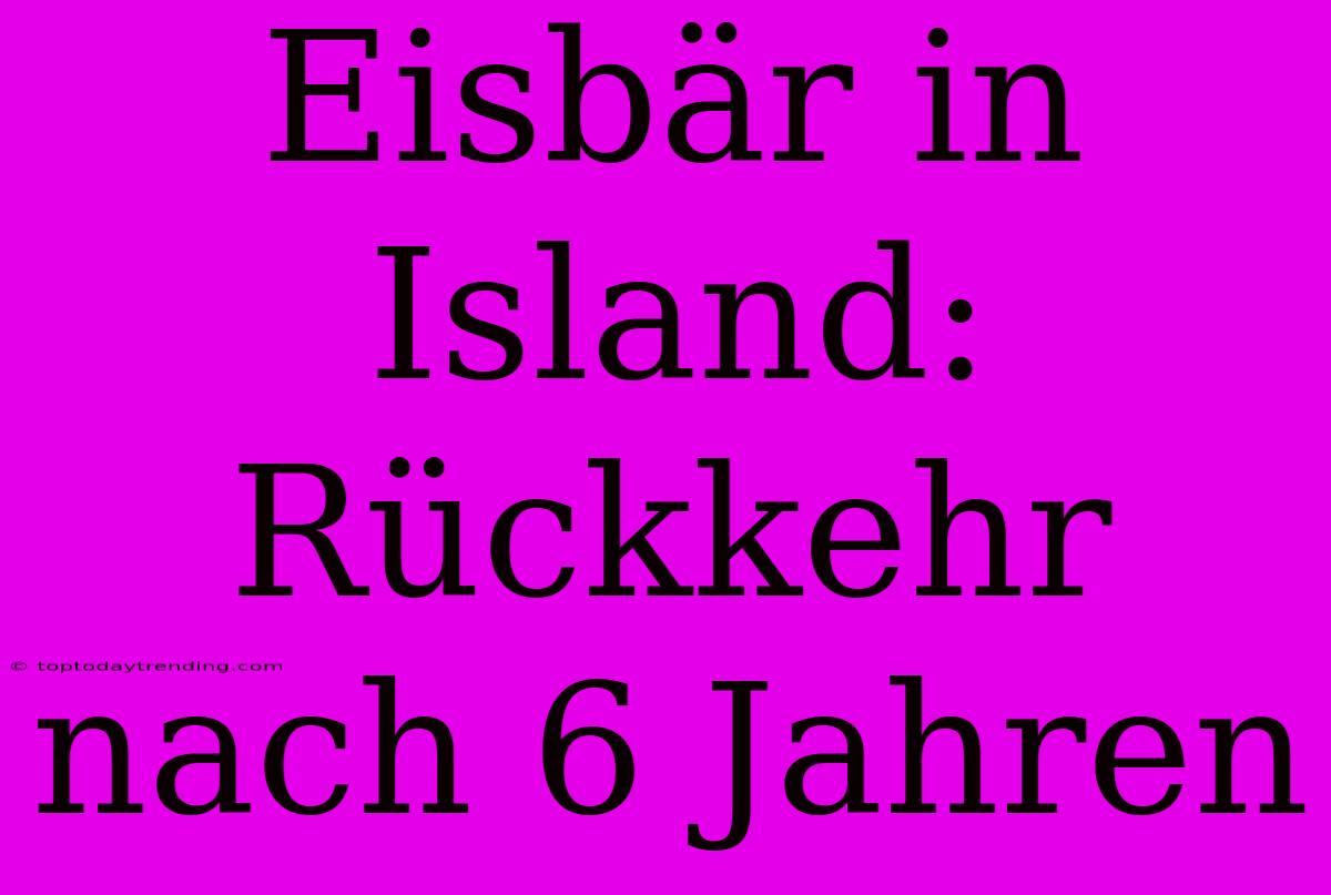 Eisbär In Island: Rückkehr Nach 6 Jahren