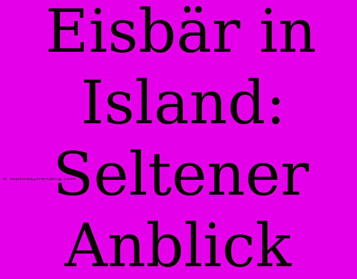 Eisbär In Island: Seltener Anblick