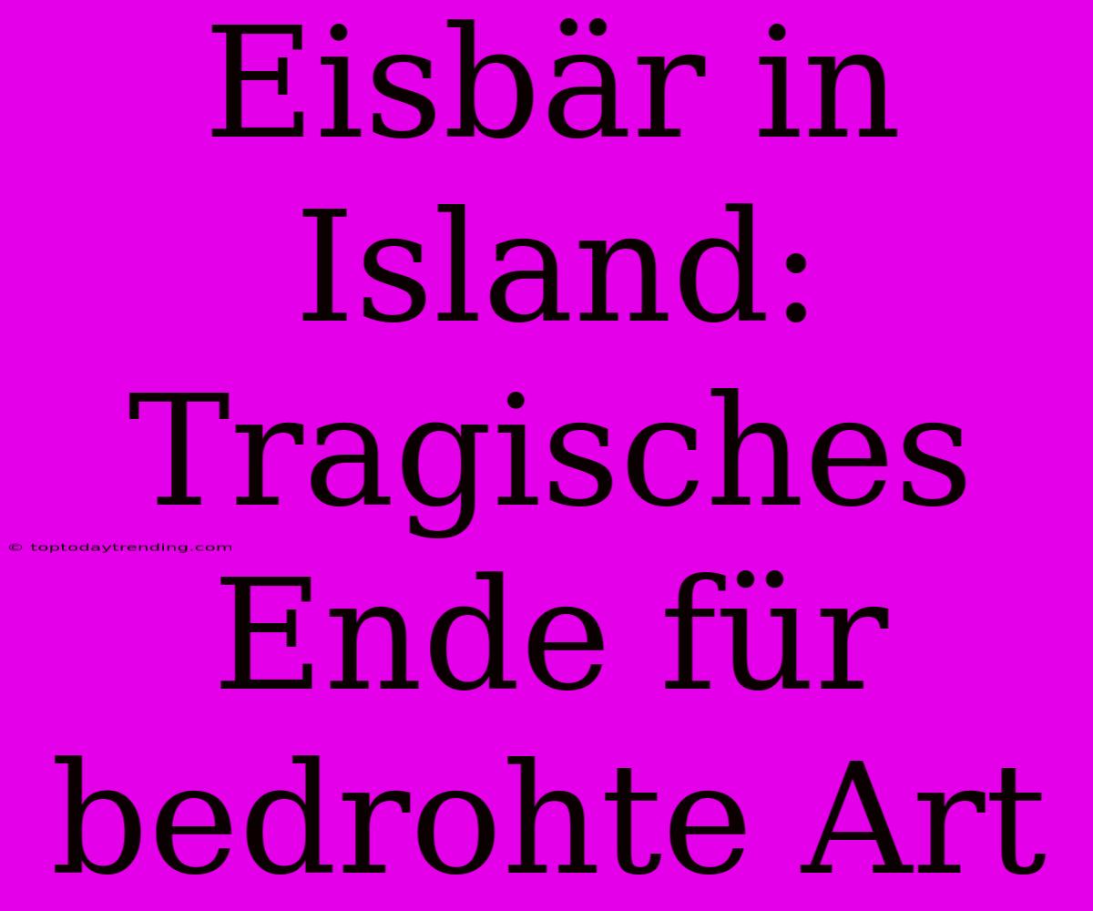 Eisbär In Island: Tragisches Ende Für Bedrohte Art