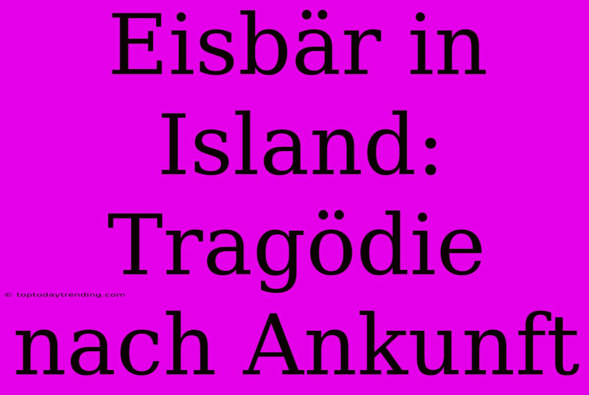 Eisbär In Island: Tragödie Nach Ankunft