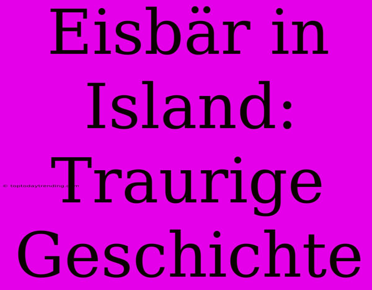 Eisbär In Island: Traurige Geschichte