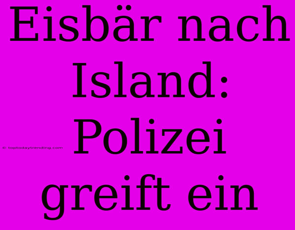 Eisbär Nach Island: Polizei Greift Ein