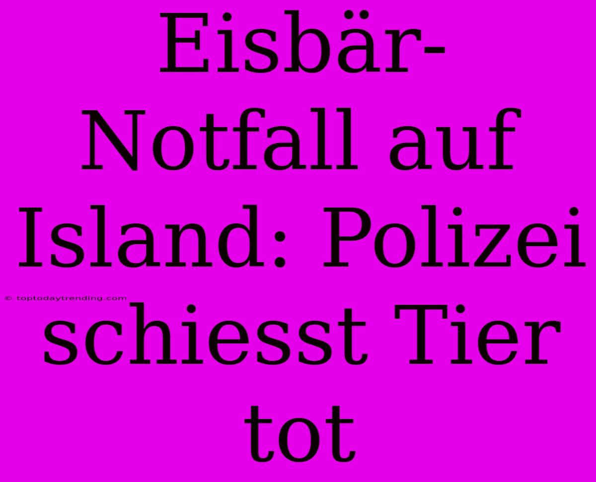 Eisbär-Notfall Auf Island: Polizei Schiesst Tier Tot