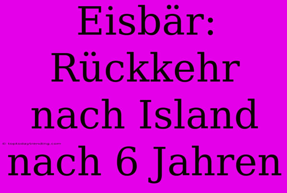 Eisbär: Rückkehr Nach Island Nach 6 Jahren