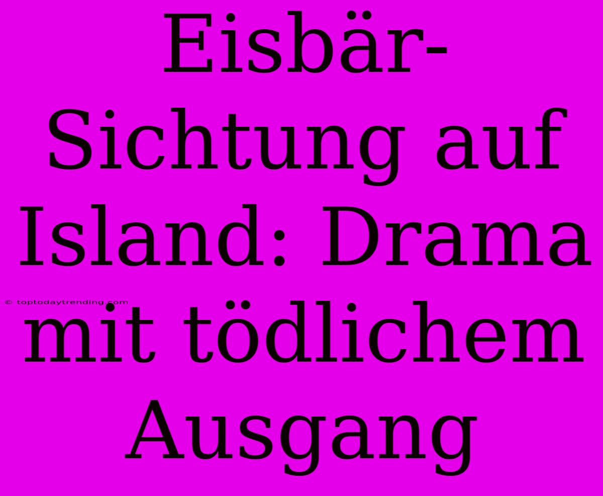 Eisbär-Sichtung Auf Island: Drama Mit Tödlichem Ausgang