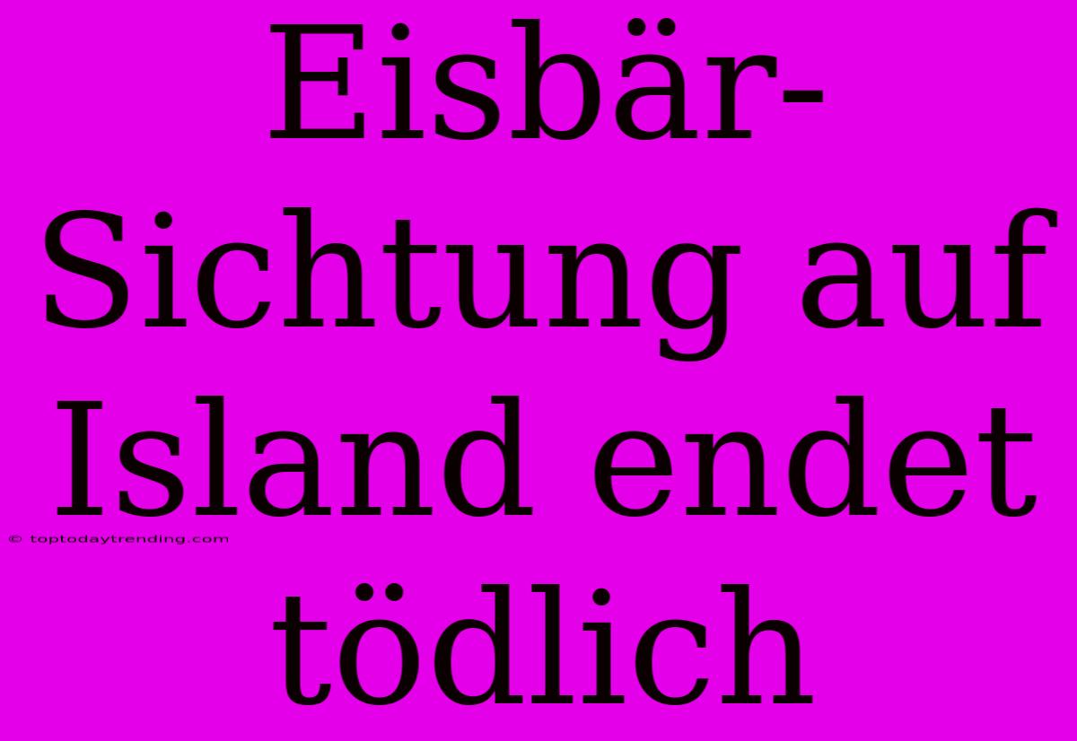 Eisbär-Sichtung Auf Island Endet Tödlich