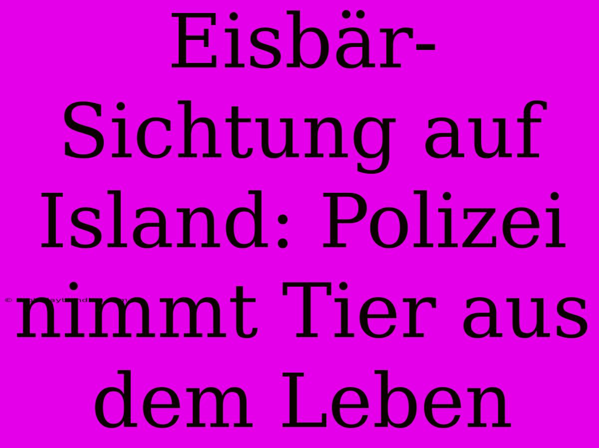 Eisbär-Sichtung Auf Island: Polizei Nimmt Tier Aus Dem Leben