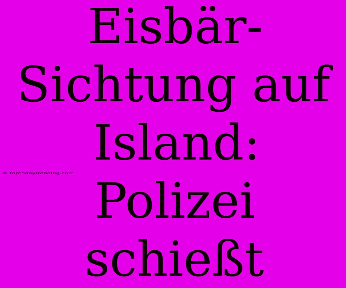 Eisbär-Sichtung Auf Island: Polizei Schießt